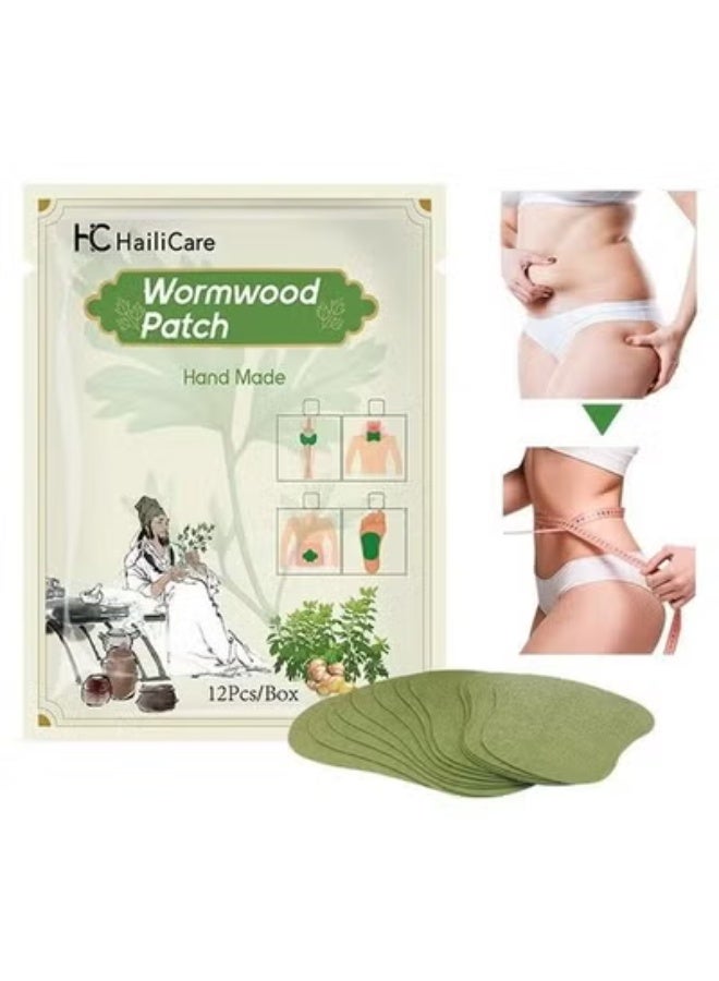 HailiCare 12 Pcs Wormwood Patch, Herbal Foot Therapy Patch Foot Pain Relief PatchLong-Lasting of Muscle and Joint Pain Herbal Patches Combo,Can Effectively Dispel The Body Moisture And Grease,Help You Get Rid O - Image 1